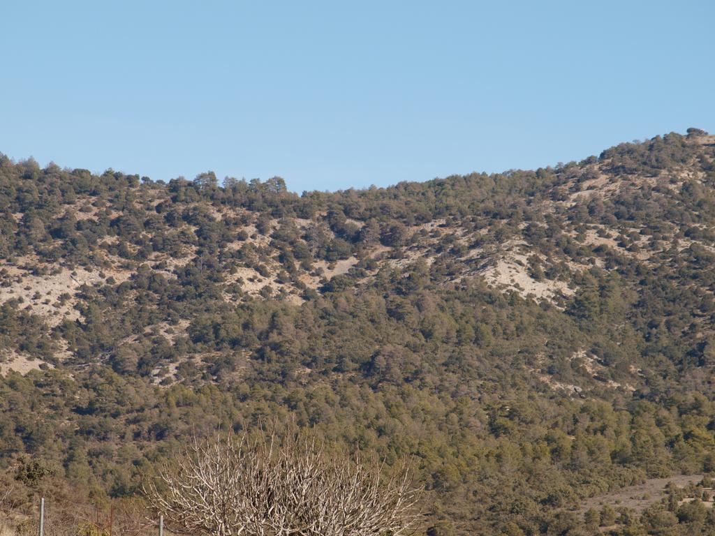 Alojamiento Turístico El Torreón Casa de hóspedes Fresneda de la Sierra Exterior foto